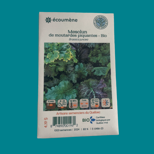 Mesclun