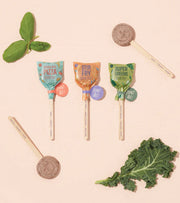 Seeded Lollipops